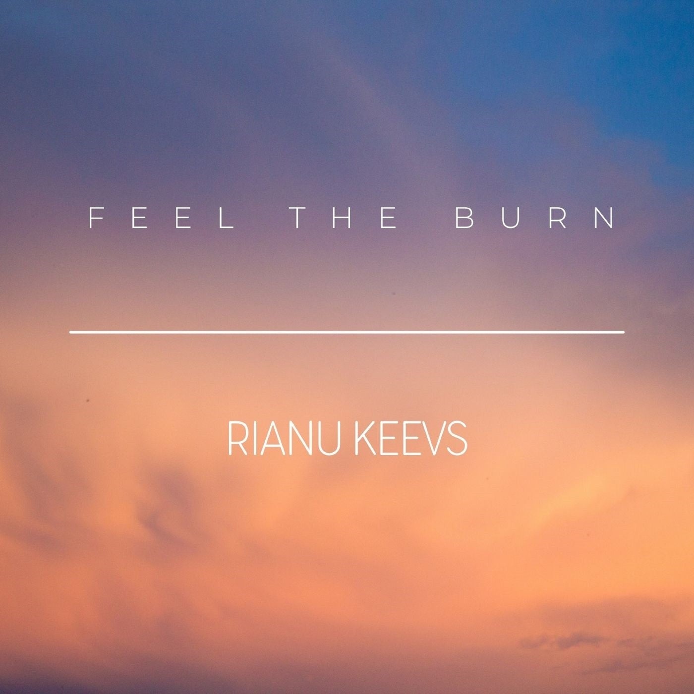Rianu Keevs - Feel The Burn [AUR0390]